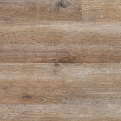 62001117_spirit-brown