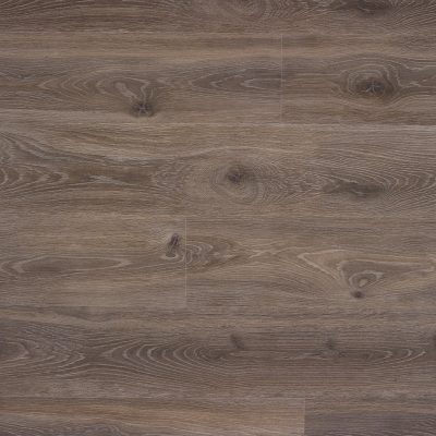 62001158_bloom-dark-brown