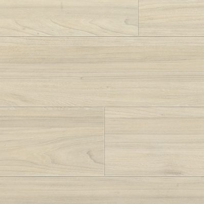 62001187_elm-light
