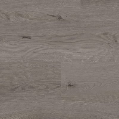 62001216_gyant-grey