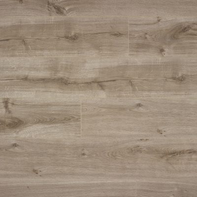 62001218_spirit-light-brown