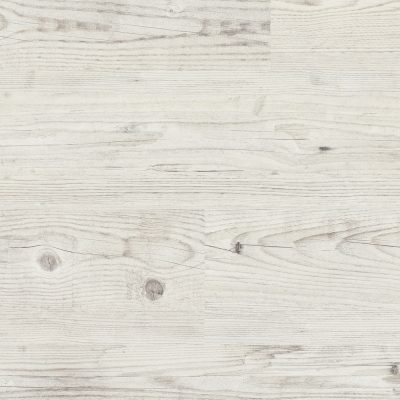 62001244_pine-light
