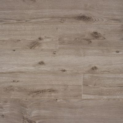 62001265_spirit-light-brown