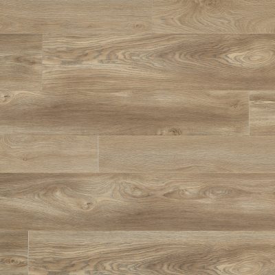 62001273_jazz-xxl-brown