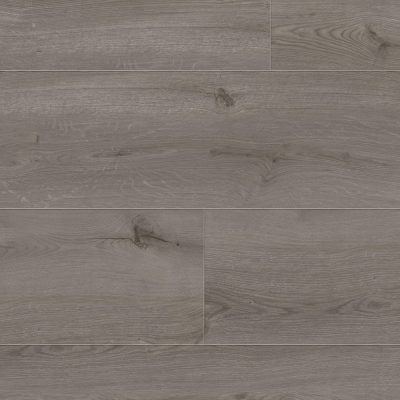 62001278_gyant-xl-grey