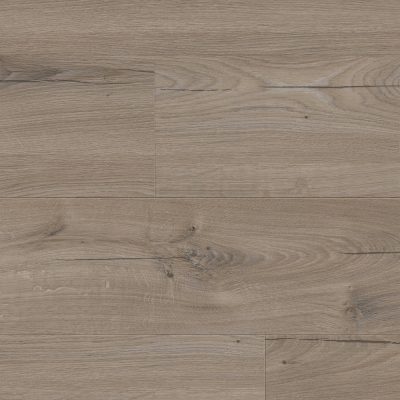 62001336_canyon-brown