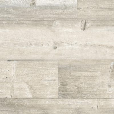 62001367_barn-wood-light