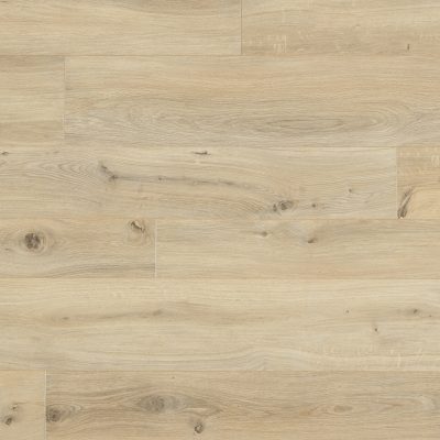62001413_gyant-xl-light-natural