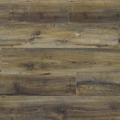 bahamas-oak96322