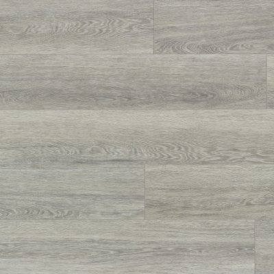 bellini-oak79142