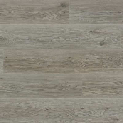 magnolia-oak97835